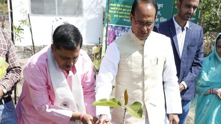 मुख्यमंत्री श्री चौहान ने चंपा, बरगद और सप्तपर्णी के पौधे लगाए